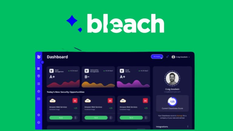 Bleach Cyber Review